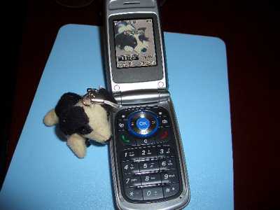 fbbab980.jpg