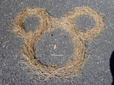 83d337b7.jpg