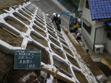 Ë¡ÌÌÊݸ»ö(¥×¥ì¥¥ã¥¹¥È)5