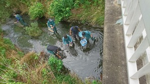 H29水生生物調査 (2)