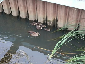 社会科見学 (3)