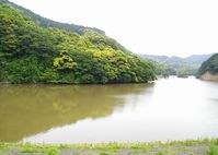 安房中央ダム3