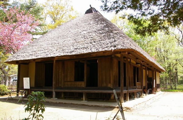 22 009