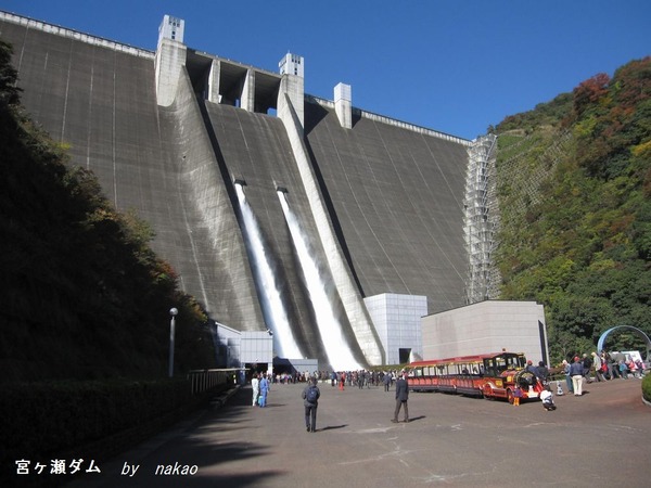 ¿·¤·¤¤¥Õ¥©¥ë¥À¡¼051