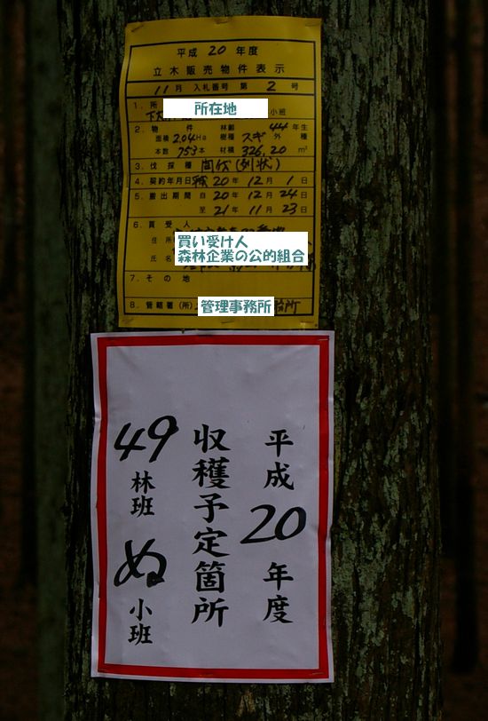 森林収穫2