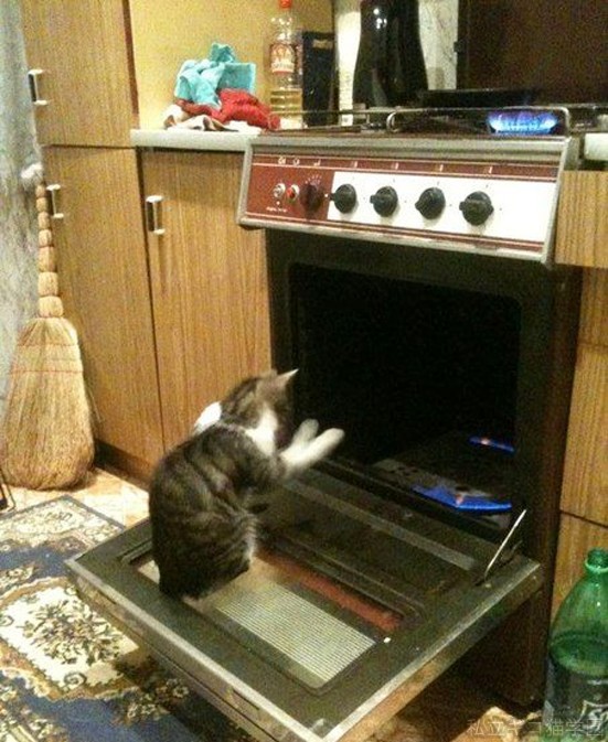 ȋȑqwy1rځzYouTube>8{ jRjR>1{ ->摜>1781 