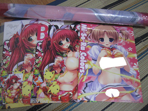 resize0305