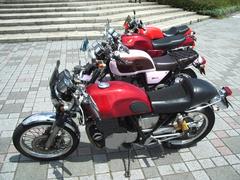 IMGP9109-1