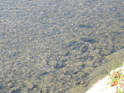 DSCN0693