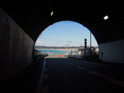DSCN8105