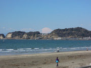 DSCN8106
