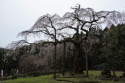 DSC00622