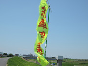 DSCN2216