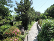 DSCN2104
