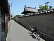 DSCN2033
