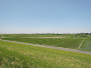 DSCN2220