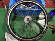DSCN6726