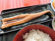DSCN1803