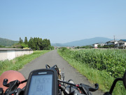 DSCN2113