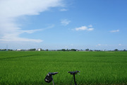DSC01459