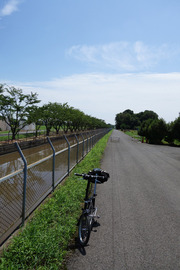 DSC01454