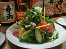 季節のサラダ