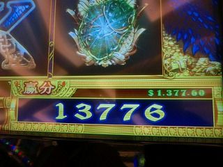 CIMG8338
