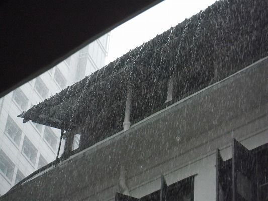 DSCF8253