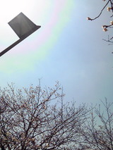 5232512e.jpg
