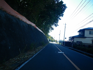 IMGP0151