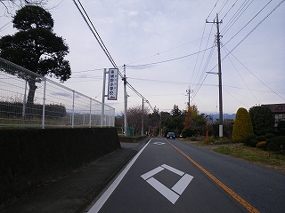 IMGP0228