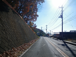 IMGP0234