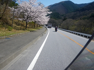 IMGP0314