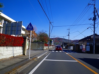 IMGP0236