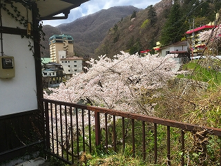 IMG_3362