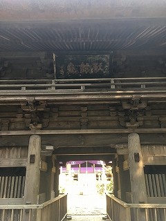 IMG_2847