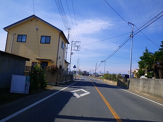 IMGP0220