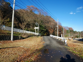 IMGP0271