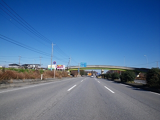 IMGP0253