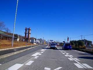 IMGP0252