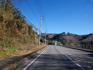 IMGP0263