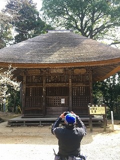 IMG_2849