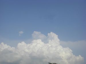 CIMG3184