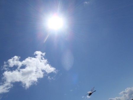 太陽と蜻蛉
