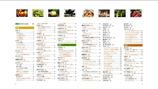 春です! 野菜の時間だ!