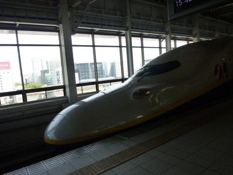 P1020781
