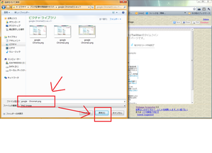 google Chrome4