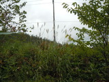 DSCN1249