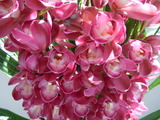 DSCN1344