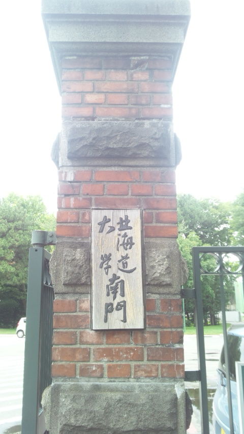 北大8